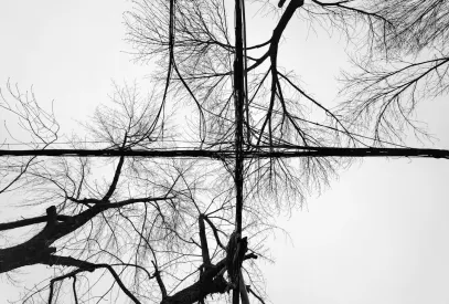 بليون كازينو تطبيق الهاتف المحمول